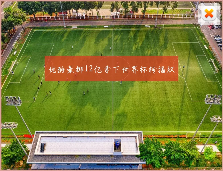 优酷豪掷12亿拿下世界杯转播权